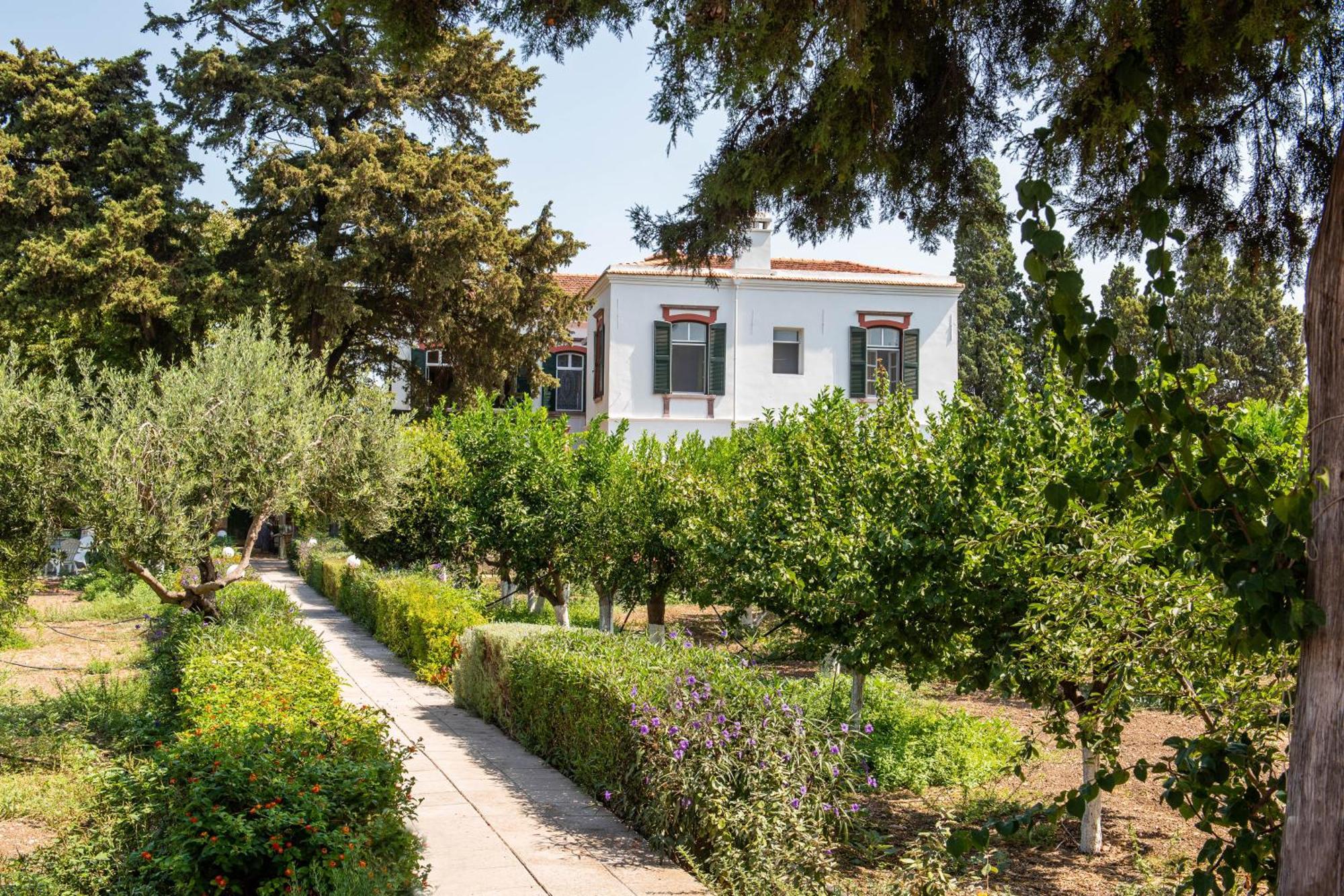 Calvocoressi Estate Хіос Екстер'єр фото